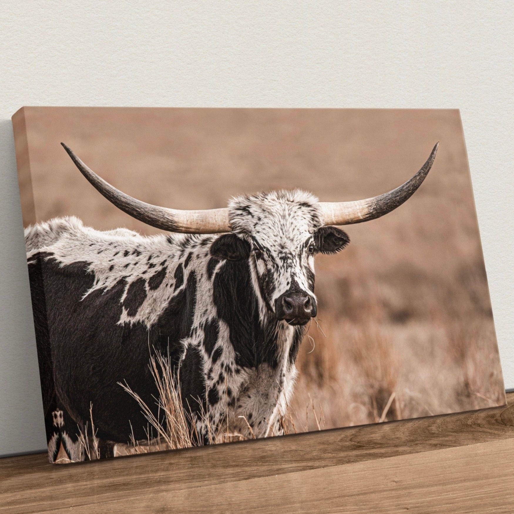 Texas Longhorn Cow Canvas Western Wall Art Canvas-Unframed / 12 x 18 Inches Wall Art Teri James Photography