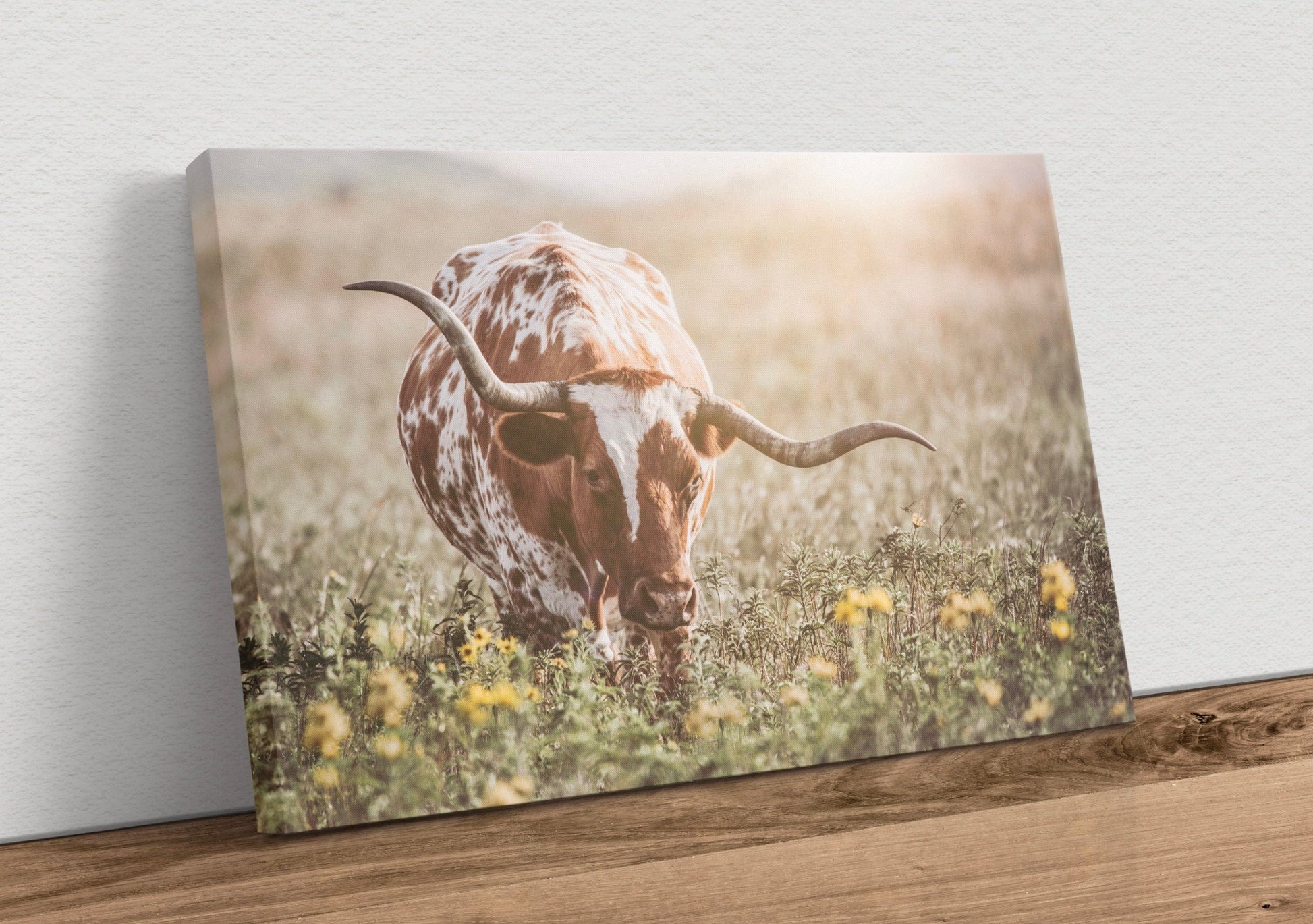 Texas Longhorn Cow in Flowers Canvas-Unframed / 12 x 18 Inches Wall Art Teri James Photography