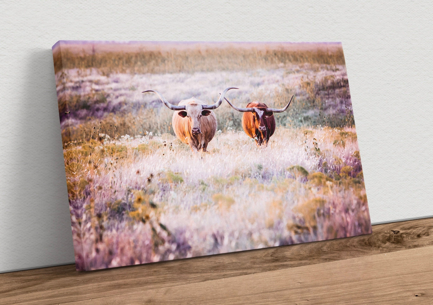 Texas Longhorn Cows in Colorful Pasture Grass Canvas-Unframed / 12 x 18 Inches Wall Art Teri James Photography