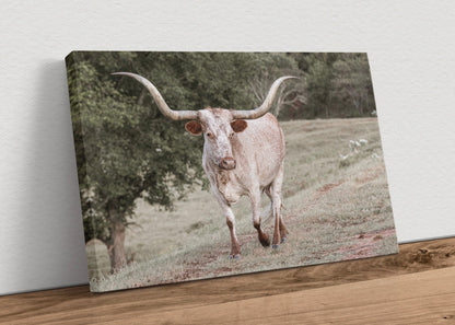 Texas Longhorn Farmhouse Wall Canvas Canvas-Unframed / 12 x 18 Inches Wall Art Teri James Photography