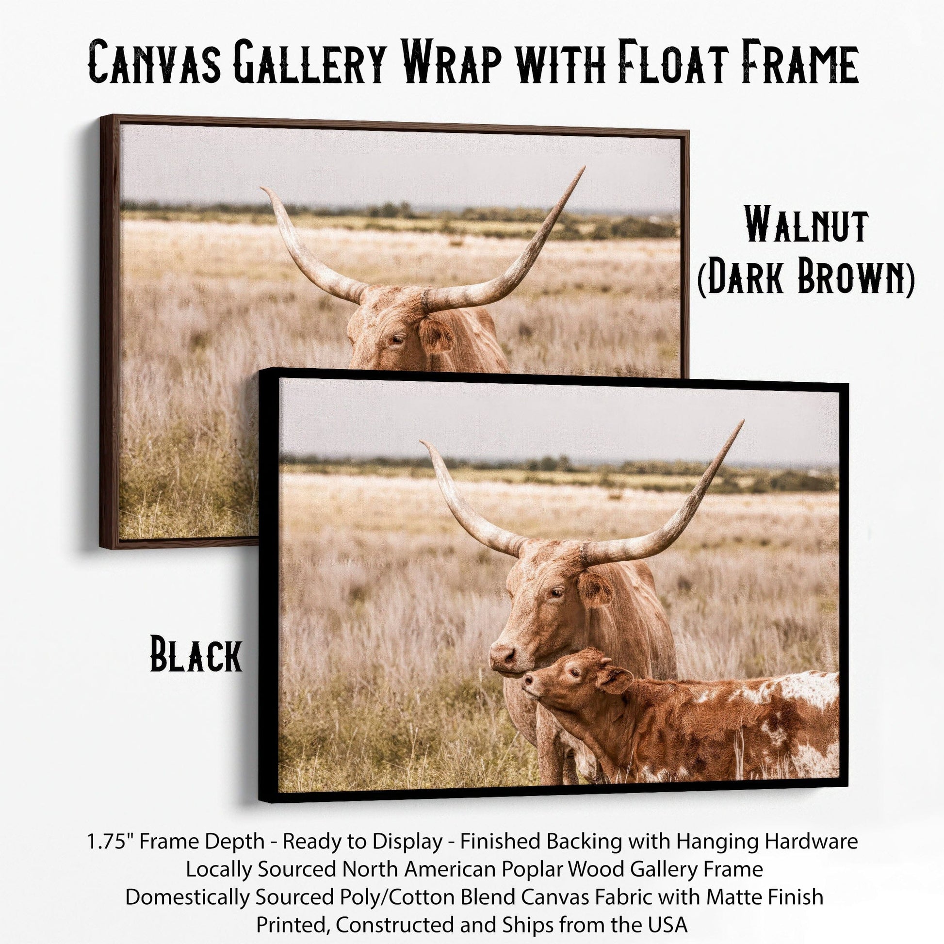 Texas Longhorn Nursery Decor Canvas-Black Frame / 12 x 18 Inches Wall Art Teri James Photography