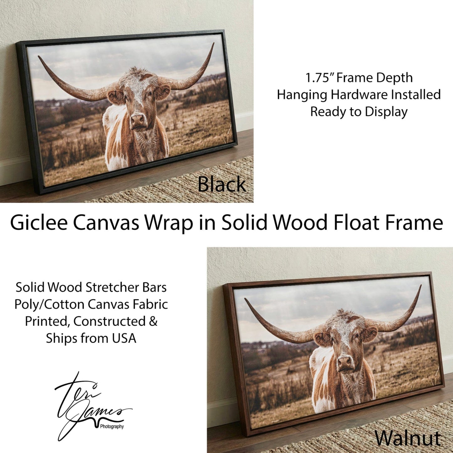 Texas Longhorn Panoramic Artwork - Large Canvas Print Canvas-Black Frame / 10 x 20 Inches Wall Art Teri James Photography