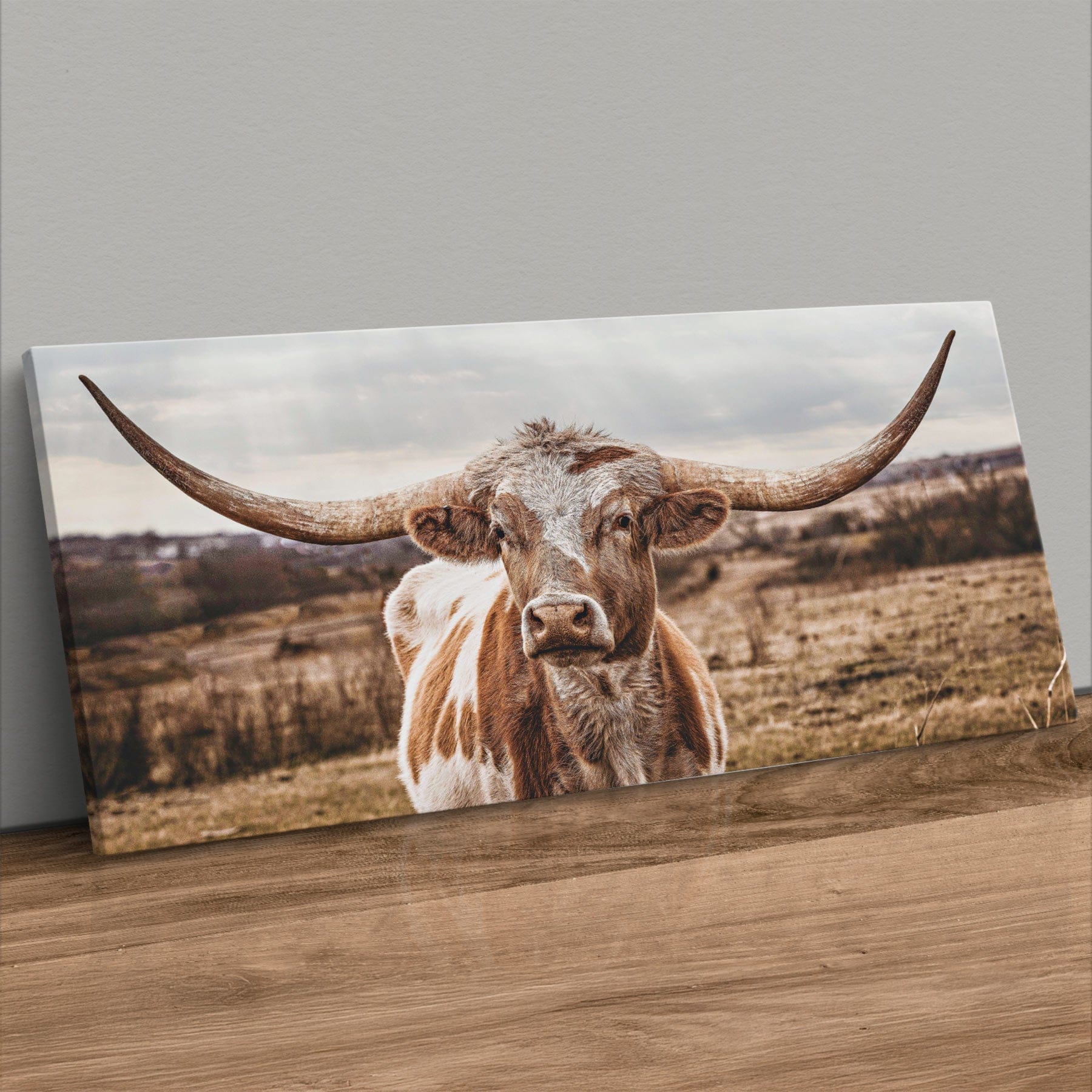 Texas Longhorn Panoramic Artwork - Large Canvas Print Canvas-Unframed / 10 x 20 Inches Wall Art Teri James Photography
