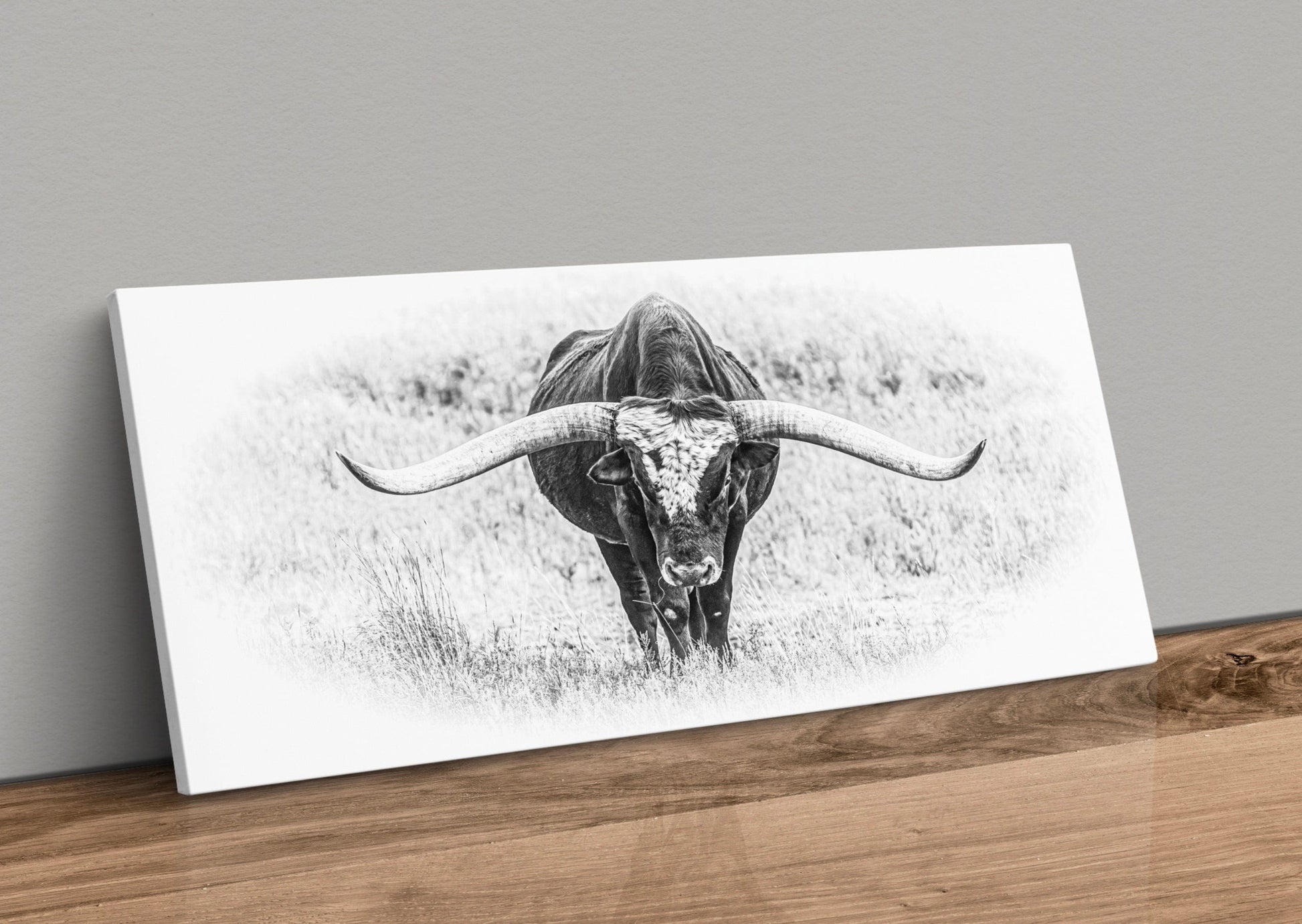 Texas Longhorn Panoramic Canvas Black and White Canvas-Unframed / 10 x 20 Inches Wall Art Teri James Photography