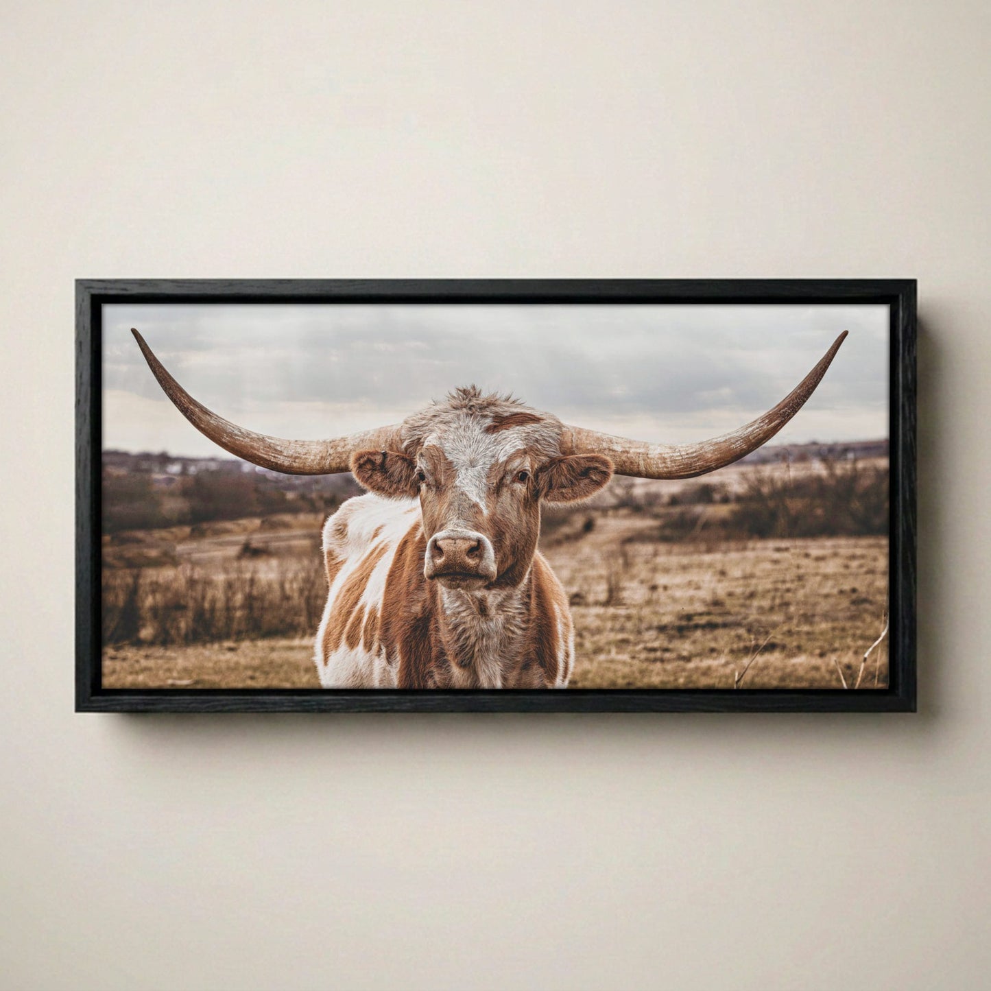 Texas Longhorn Panoramic Large Canvas Print