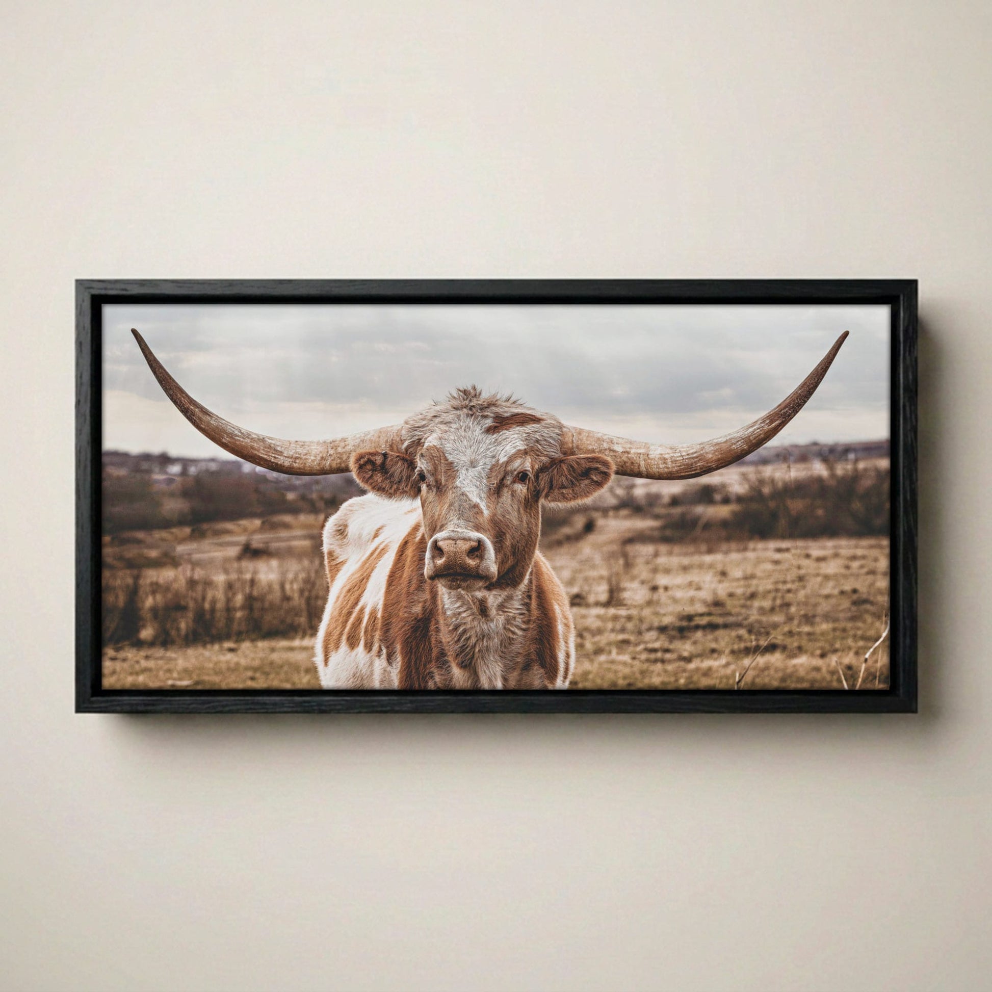 Texas Longhorn Panoramic Large Canvas Print