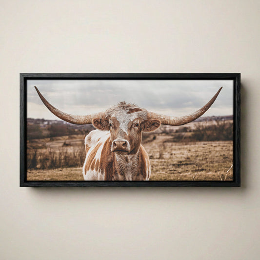 Texas Longhorn Panoramic Large Canvas Print