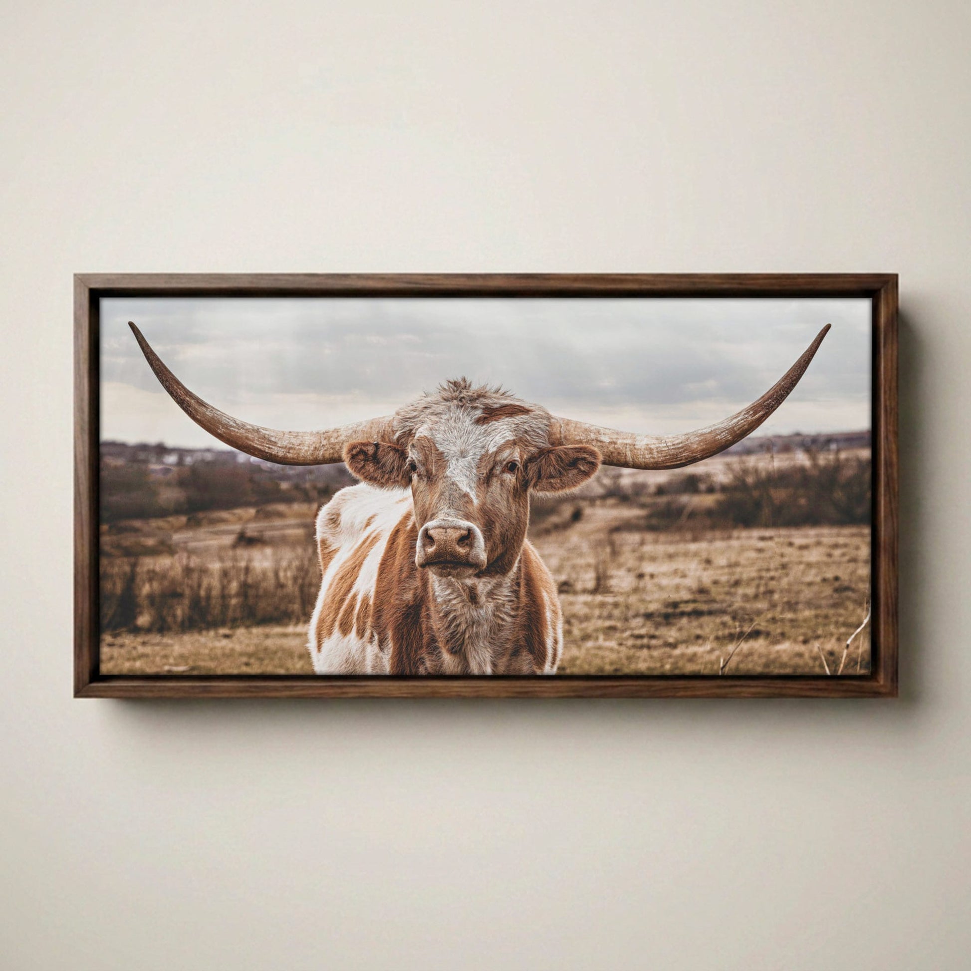 Texas Longhorn Panoramic Large Canvas Print
