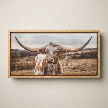 Texas Longhorn Panoramic Large Canvas Print Canvas-Natural Oak Float Frame / 10 x 20 Inches