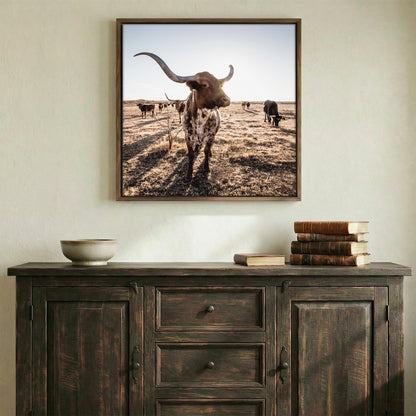 Texas Longhorn Square Canvas Print Wall Art Teri James Photography