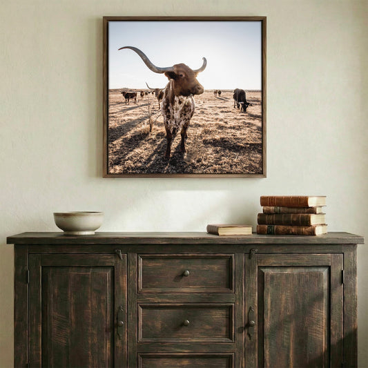 Texas Longhorn Square Canvas Print Wall Art Teri James Photography