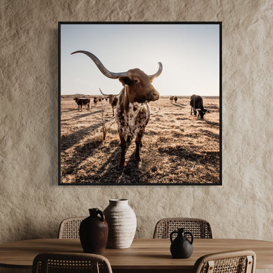 Texas Longhorn Square Canvas Print Wall Art Teri James Photography