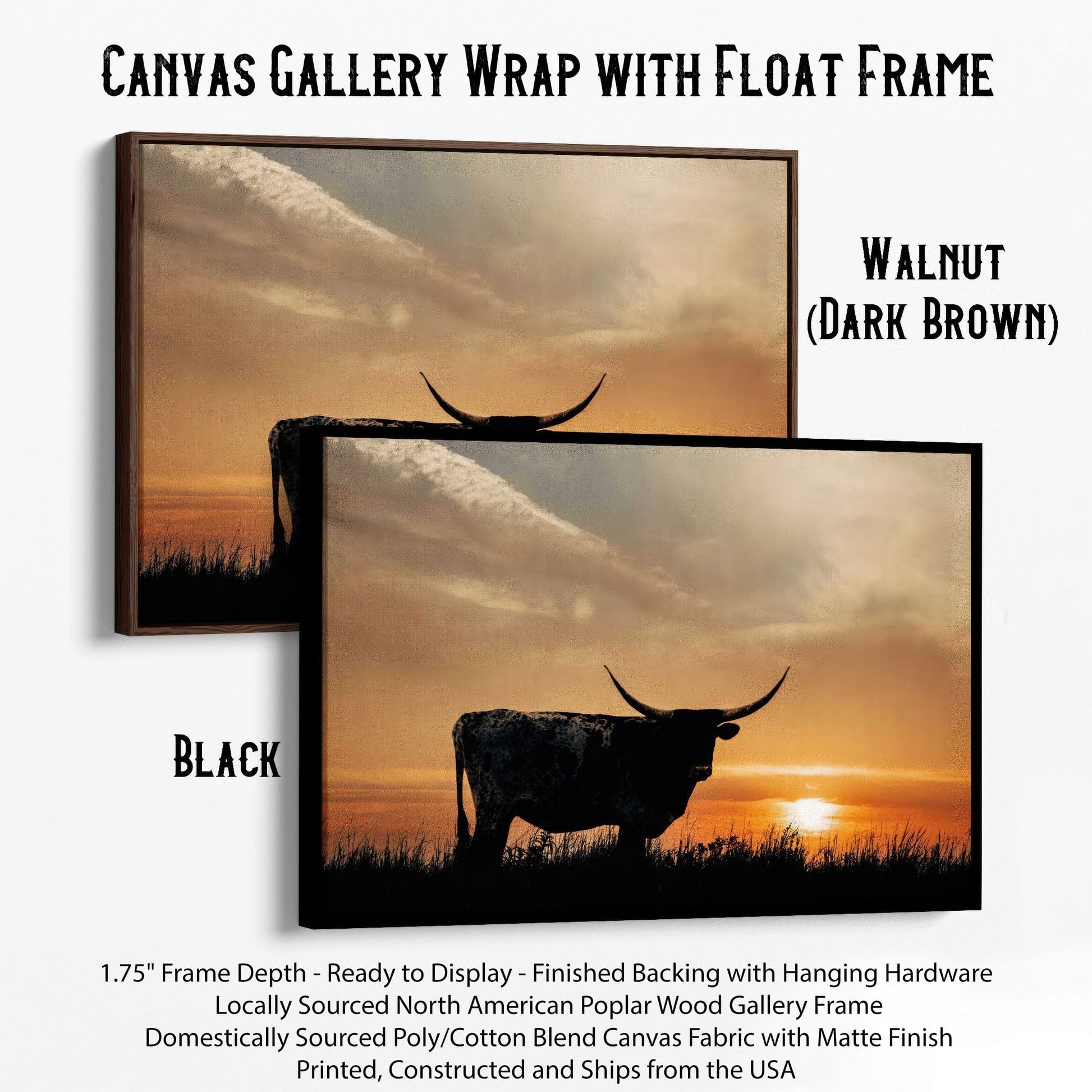 Texas Longhorn Sunset Canvas Print Canvas-Black Frame / 12 x 18 Inches Wall Art Teri James Photography