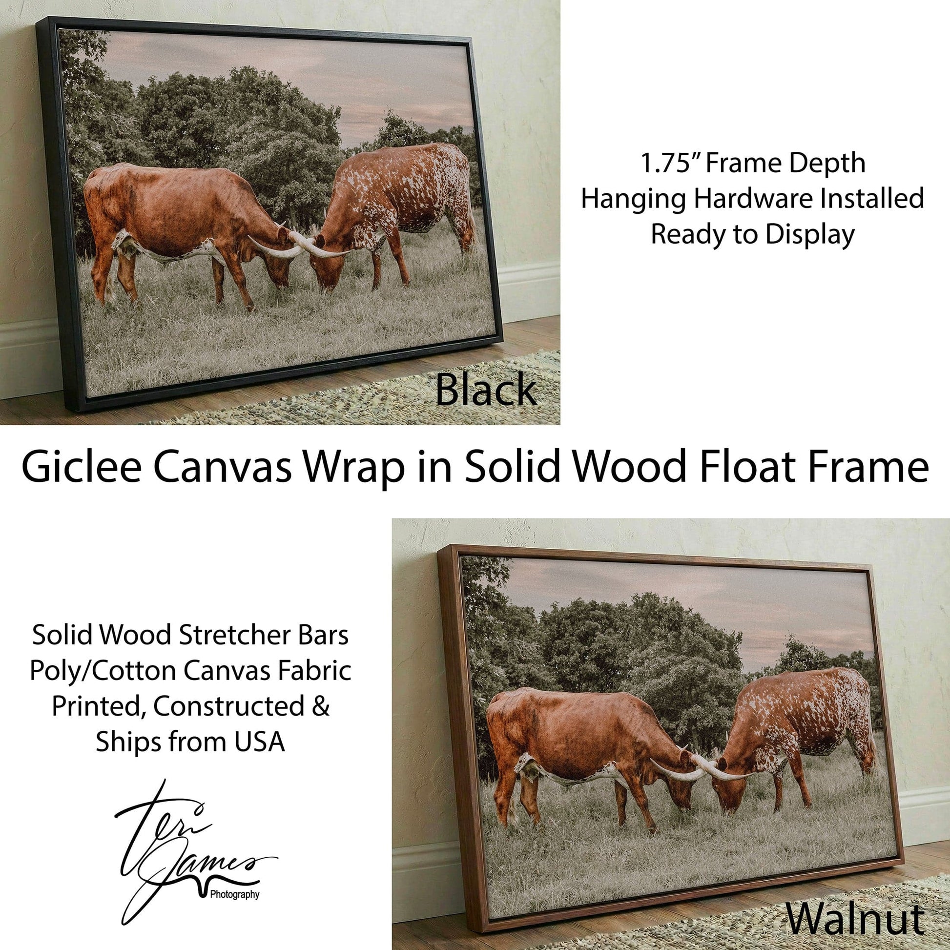 Texas Longhorn Wall Art - Muted Color Canvas Rustic Cattle Artwork Canvas-Black Frame / 12 x 18 Inches Wall Art Teri James Photography