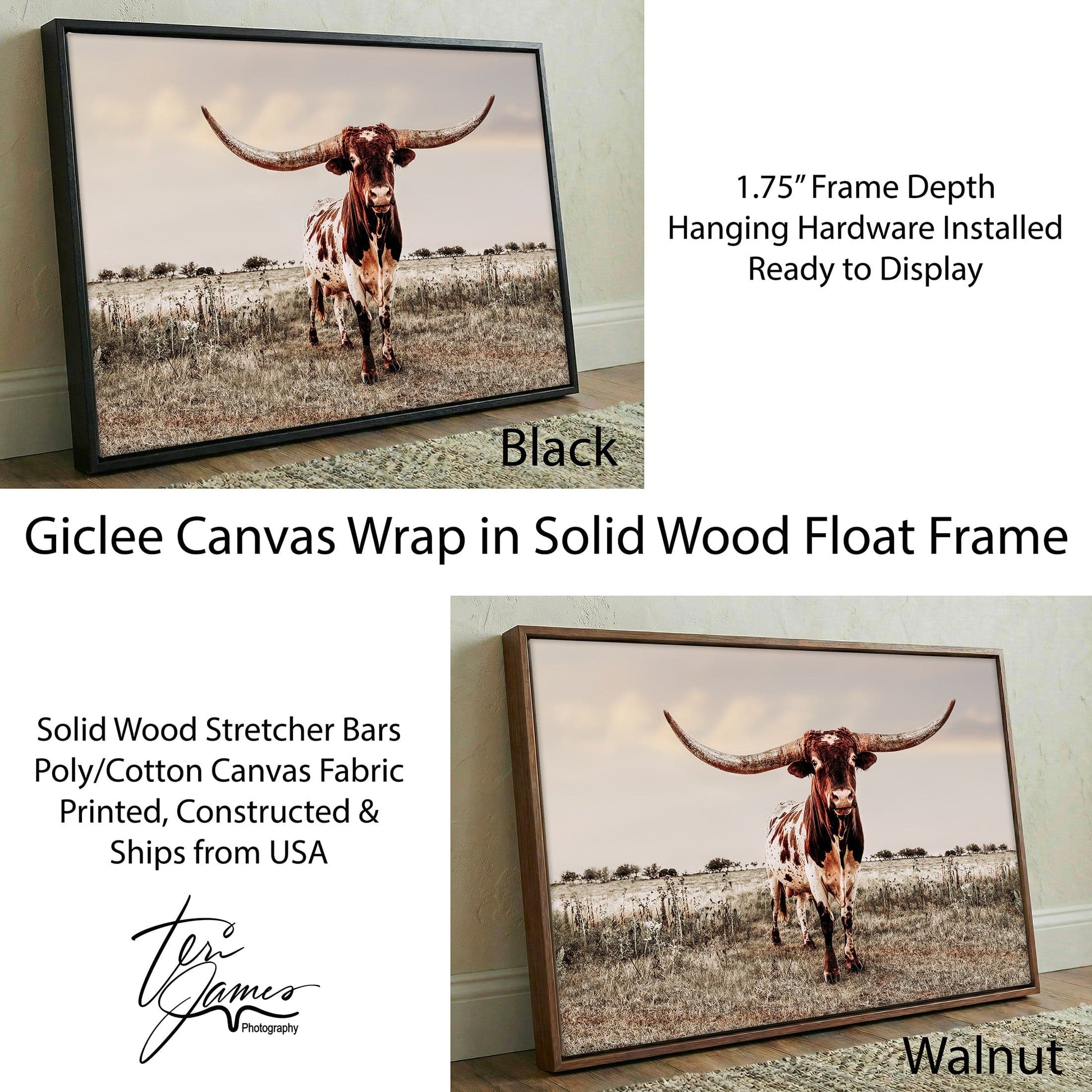 Texas Longhorn Wall Art - Rustic Canvas Bull Print for Western Ranch Decor Canvas-Black Frame / 12 x 18 Inches Wall Art Teri James Photography