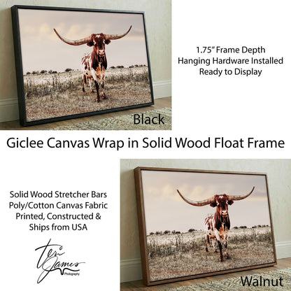 Texas Longhorn Wall Art - Rustic Canvas Bull Print for Western Ranch Decor Canvas-Black Frame / 12 x 18 Inches Wall Art Teri James Photography