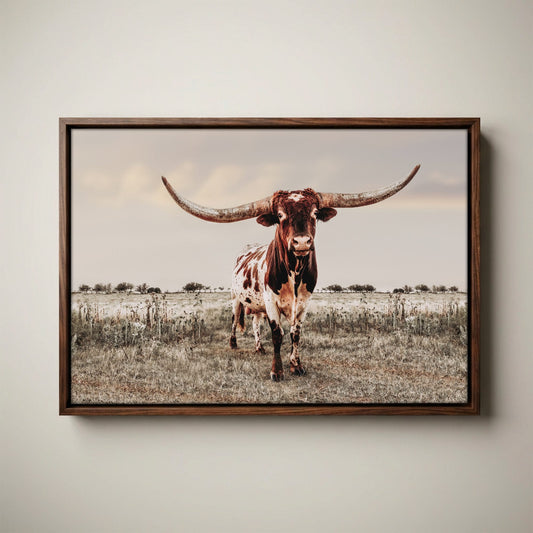 Texas Longhorn Wall Art - Rustic Canvas Bull Print