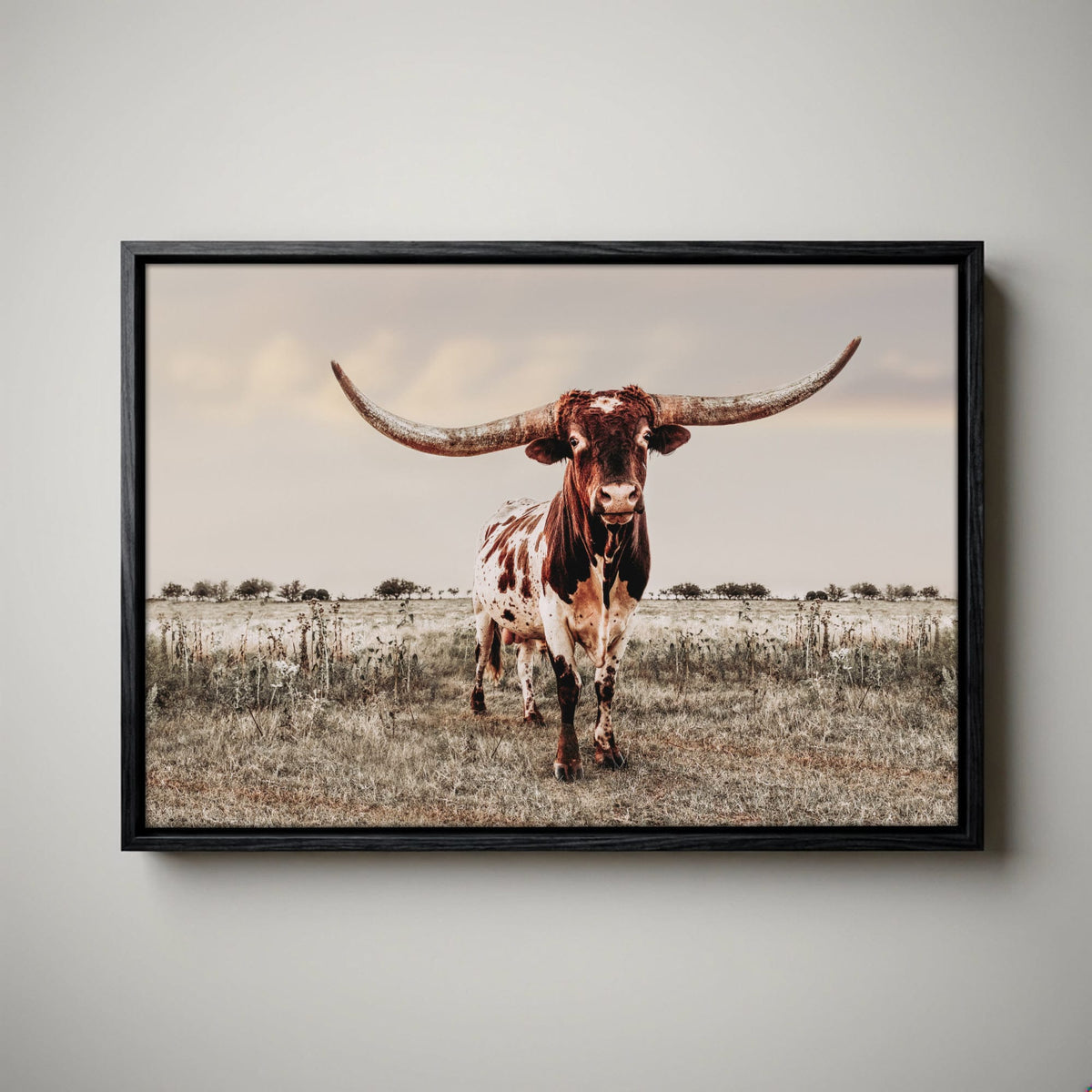 Texas Longhorn Wall Art - Rustic Canvas Bull Print