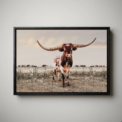 Texas Longhorn Wall Art - Rustic Canvas Bull Print
