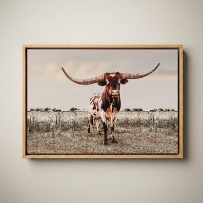 Texas Longhorn Wall Art - Rustic Canvas Bull Print Canvas-Natural Oak Float Frame / 12 x 18 Inches