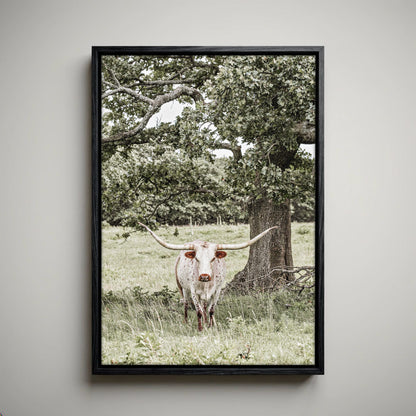 Texas Longhorn Wall Art – Vertical Canvas Print