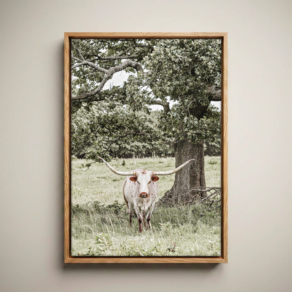 Texas Longhorn Wall Art – Vertical Canvas Print Canvas-Natural Oak Float Frame / 12 x 18 Inches