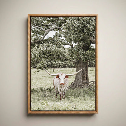 Texas Longhorn Wall Art – Vertical Canvas Print Canvas-Natural Oak Float Frame / 12 x 18 Inches