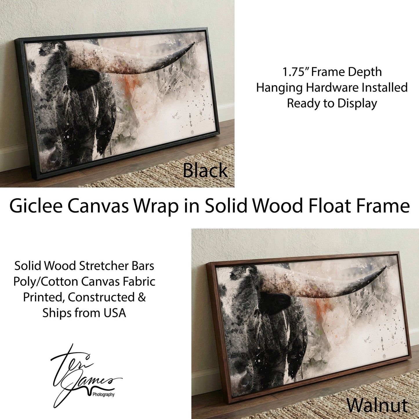 Texas Longhorn Wall Decor - Modern Western Art Panoramic Print Canvas-Black Frame / 10 x 20 Inches Wall Art Teri James Photography