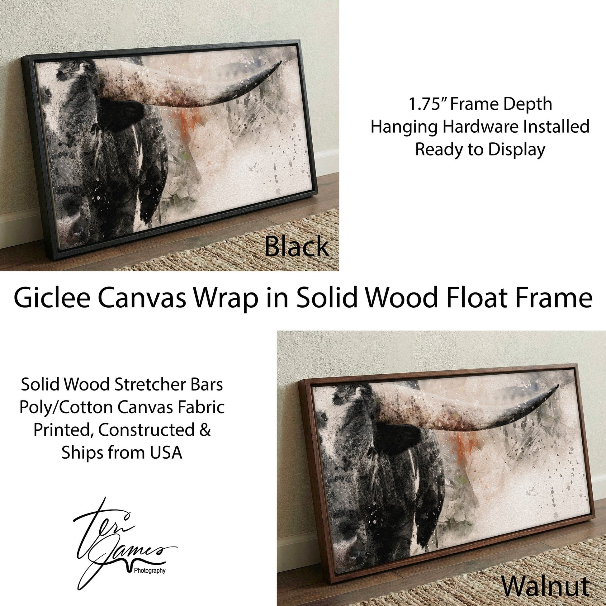 Texas Longhorn Wall Decor - Modern Western Art Panoramic Print Canvas-Black Frame / 10 x 20 Inches Wall Art Teri James Photography