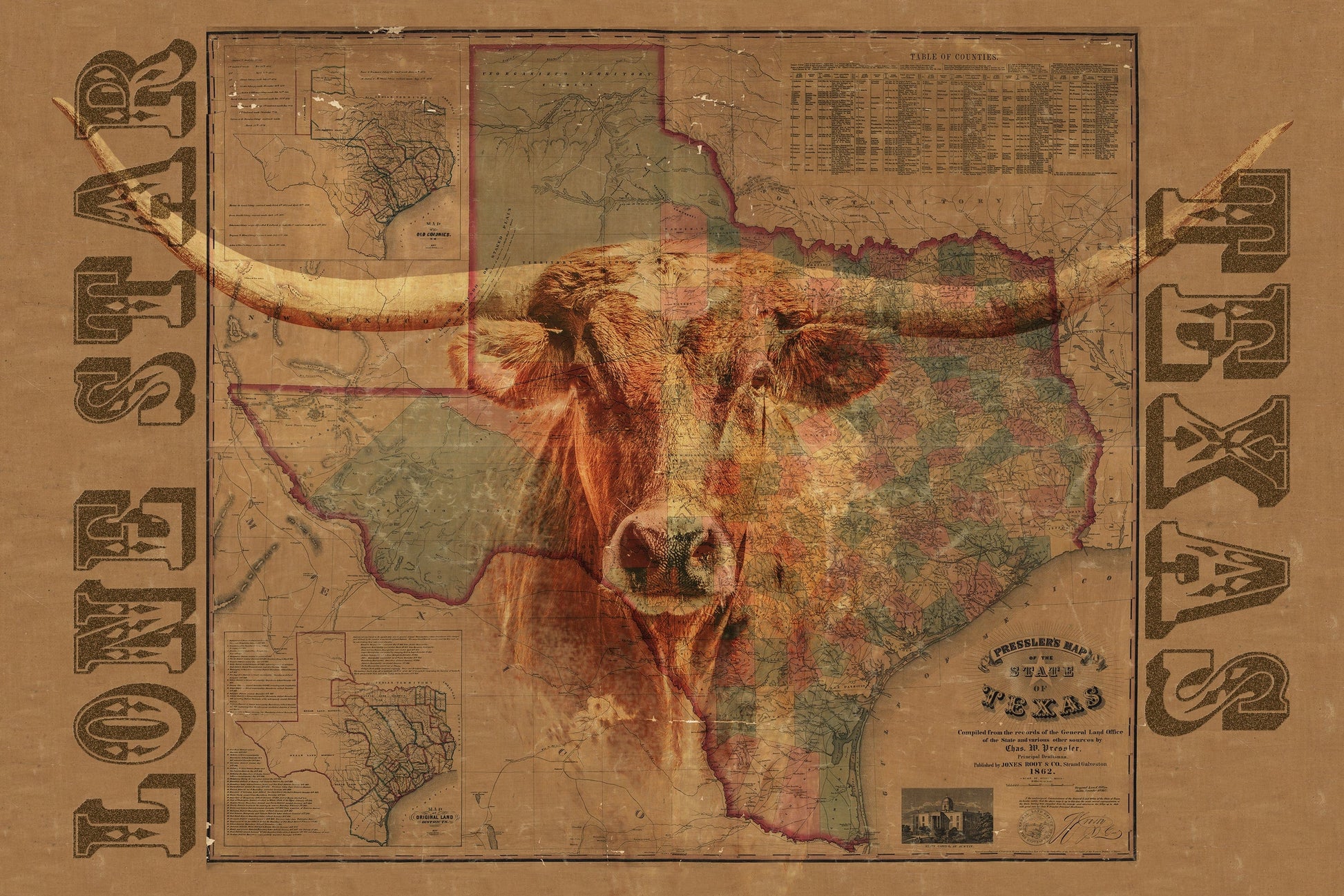 Texas Wall Art - Old Map & Longhorn Paper Photo Print / 12 x 18 Inches Wall Art Teri James Photography