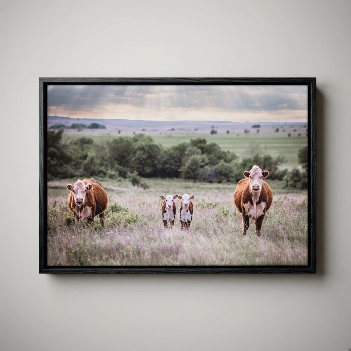 Twin Nursery Decor - Hereford Cattle