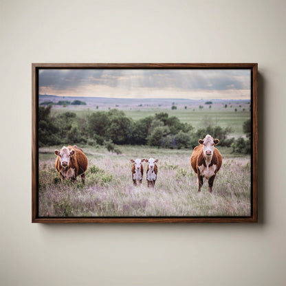 Twin Nursery Decor - Hereford Cattle