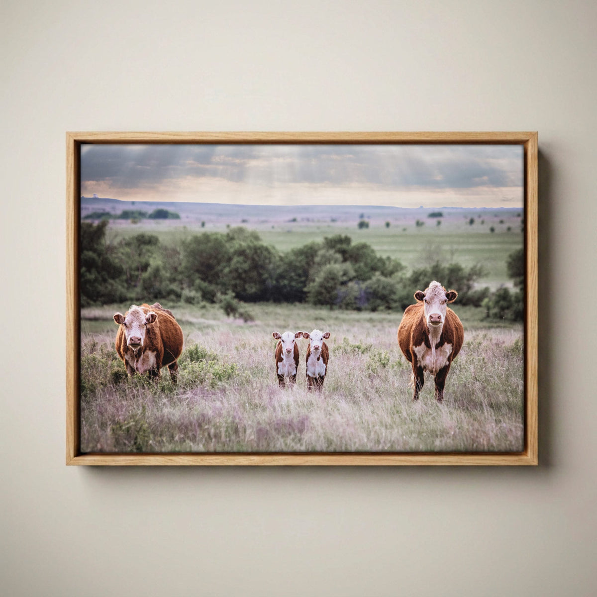 Twin Nursery Decor - Hereford Cattle Canvas-Natural Oak Float Frame / 12 x 18 Inches