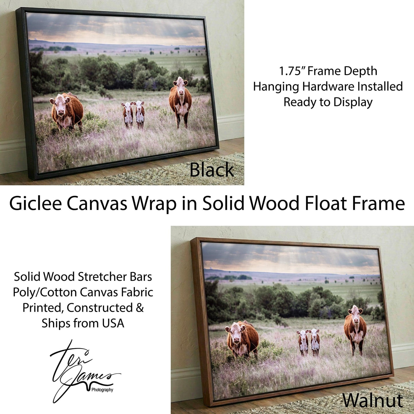 Twin Nursery Decor - Hereford Cattle Canvas-Black Frame / 12 x 18 Inches Wall Art Teri James Photography