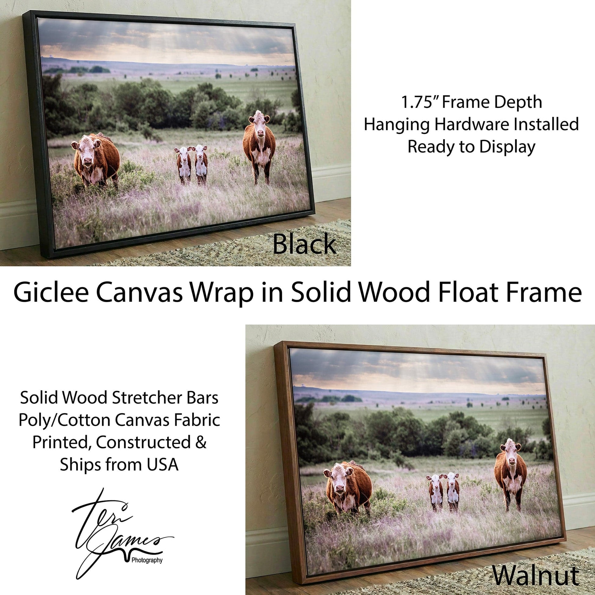 Twin Nursery Decor - Hereford Cattle Canvas-Black Frame / 12 x 18 Inches Wall Art Teri James Photography