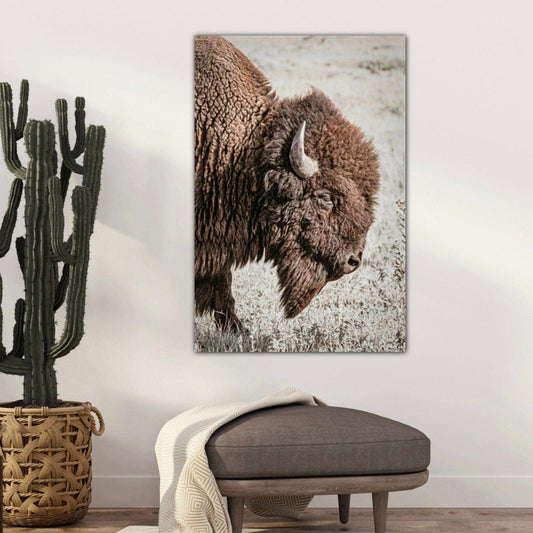 Vertical Bison Canvas Art Wall Art Teri James Photography