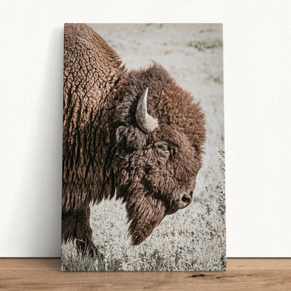 Vertical Bison Canvas Art Canvas-Unframed / 12 x 18 Inches Wall Art Teri James Photography