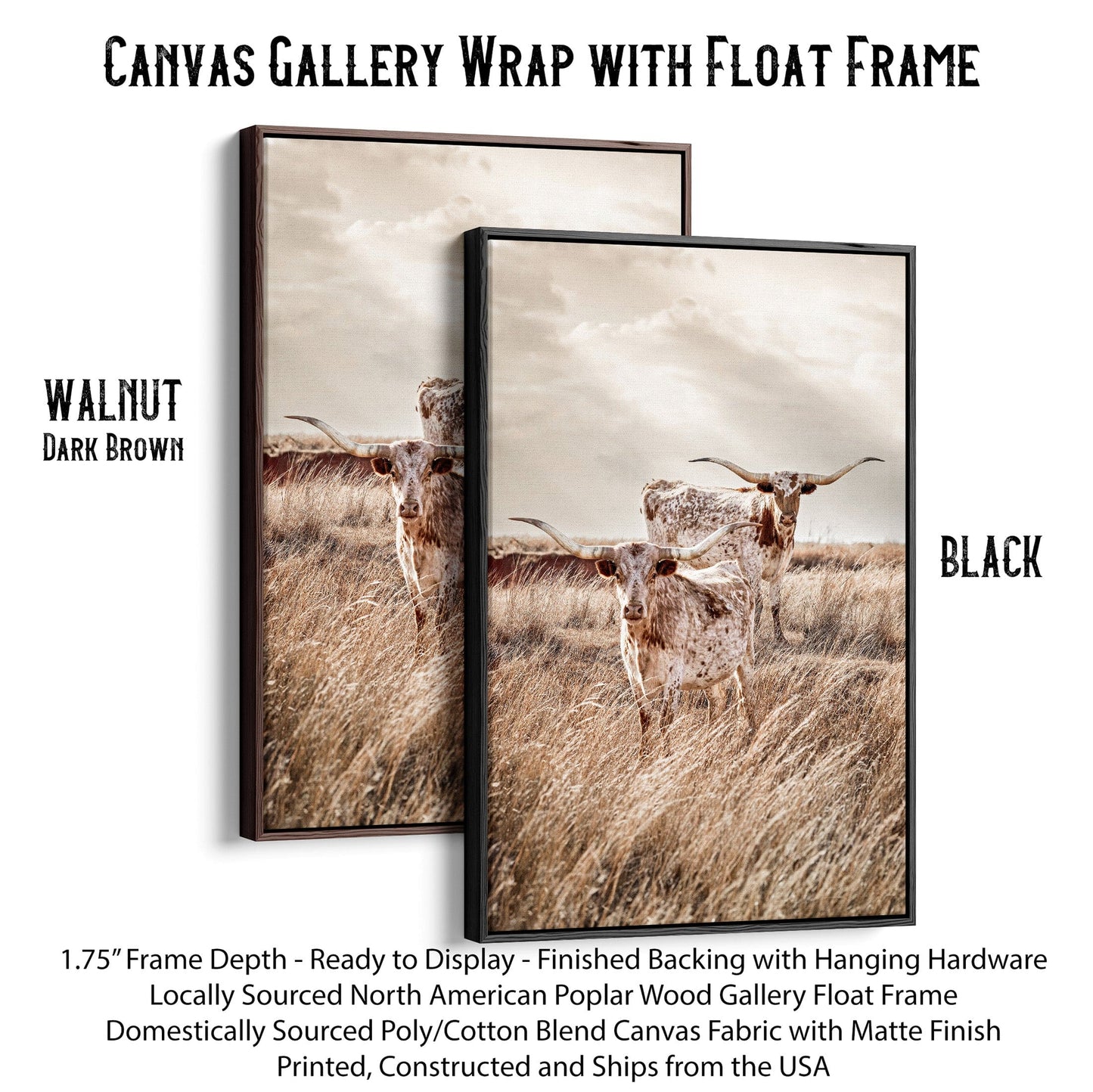 Vertical Longhorn Canvas Print Canvas-Black Frame / 12 x 18 Inches Wall Art Teri James Photography