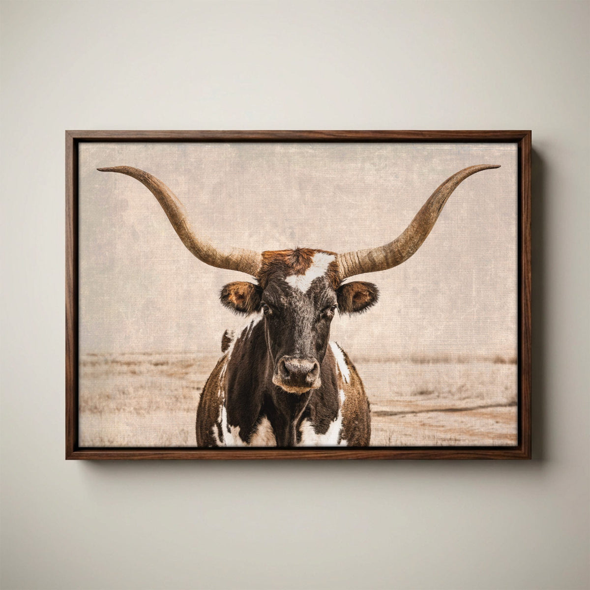 Vintage Texas Longhorn Wall Art - Rustic Western Photography Canvas-Walnut Float Frame / 12 x 18 Inches