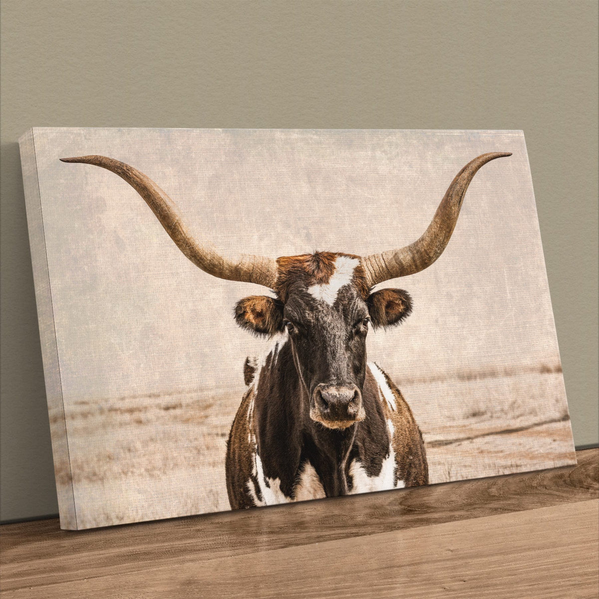 Vintage Texas Longhorn Wall Art - Rustic Western Photography Canvas-Unframed / 12 x 18 Inches