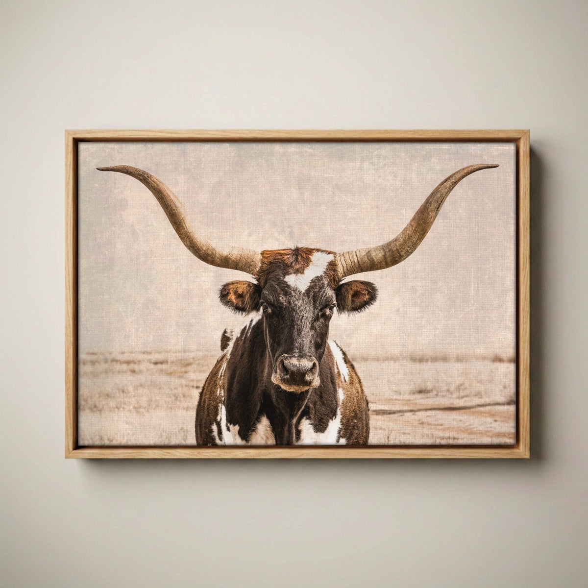 Vintage Texas Longhorn Wall Art - Rustic Western Photography Canvas-Natural Oak Float Frame / 12 x 18 Inches