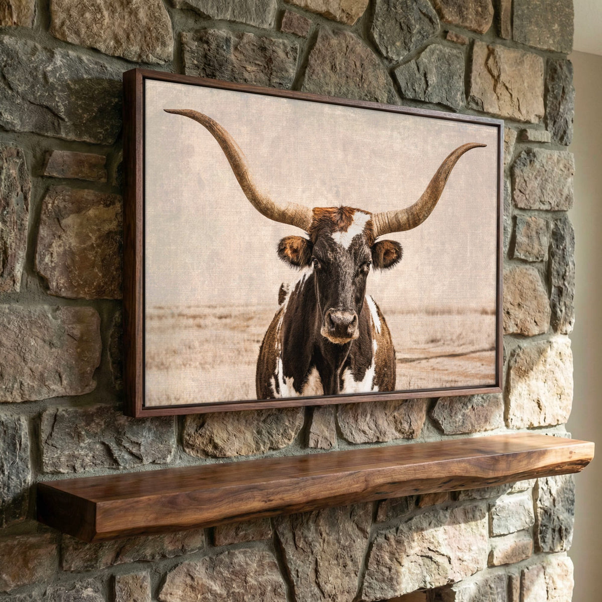 Vintage Texas Longhorn Wall Art - Rustic Western Photography