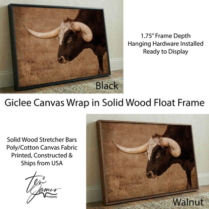 Western Art Longhorn Canvas - Modern Western Decor High Quality Wall Print Canvas-Black Frame / 12 x 18 Inches Wall Art Teri James Photography
