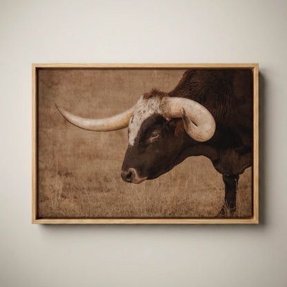 Western Art Longhorn Canvas - Modern Western Decor Canvas-Natural Oak Float Frame / 12 x 18 Inches
