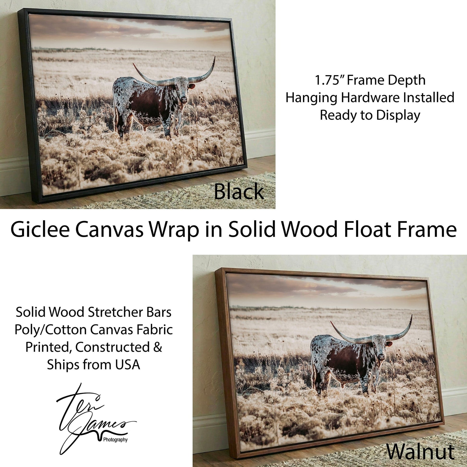 Western Art Longhorn Print – Rustic Western Decor With Prairie Sunset Canvas-Black Frame / 12 x 18 Inches Wall Art Teri James Photography