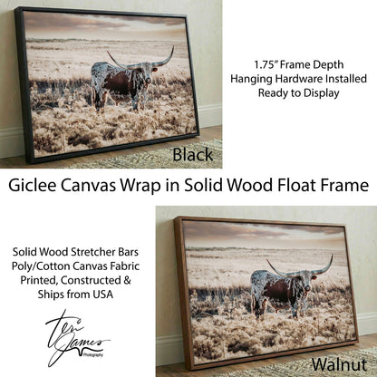 Western Art Longhorn Print – Rustic Western Decor With Prairie Sunset Canvas-Black Frame / 12 x 18 Inches Wall Art Teri James Photography