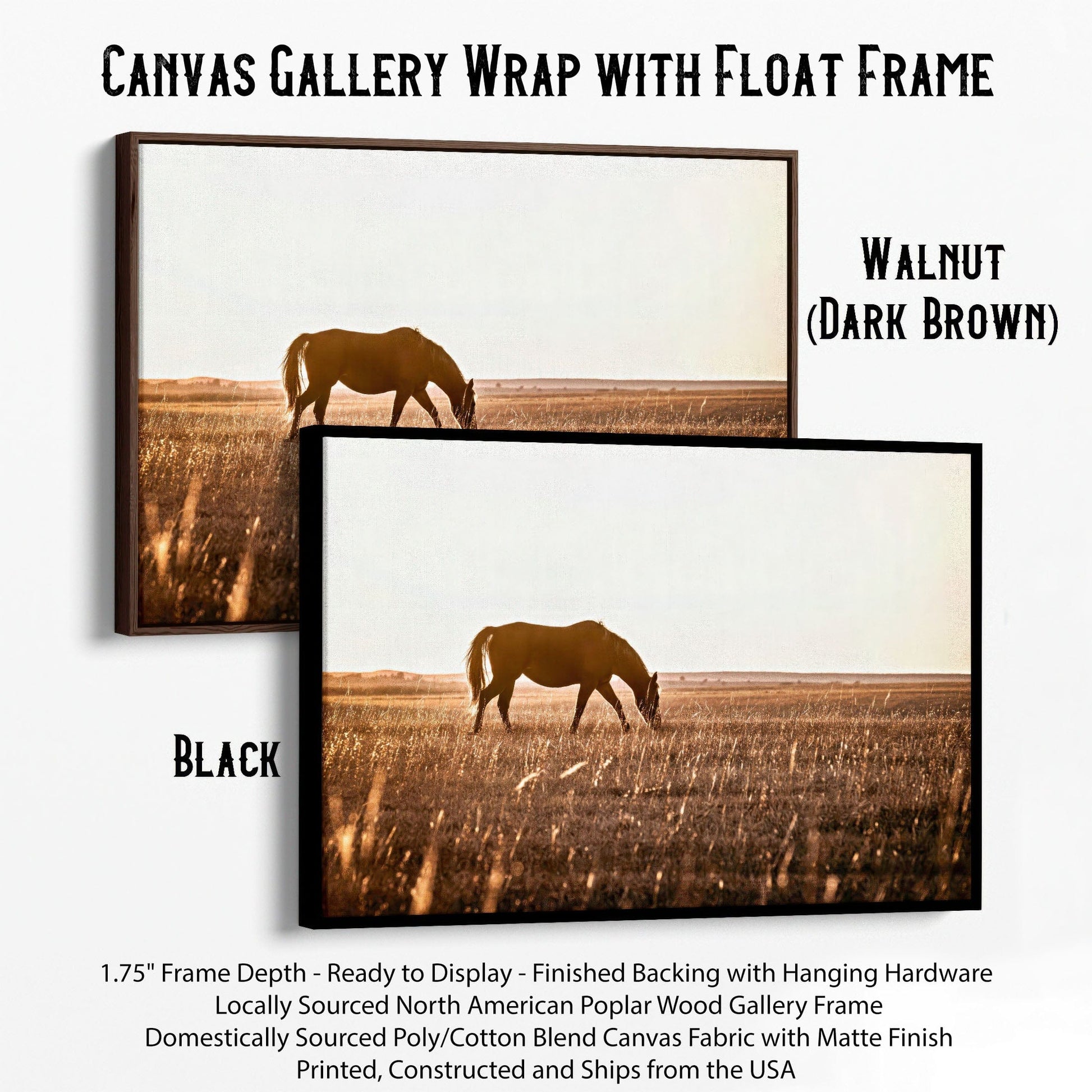 Western Bedroom Decor Horse Art Canvas-Black Frame / 12 x 18 Inches Wall Art Teri James Photography