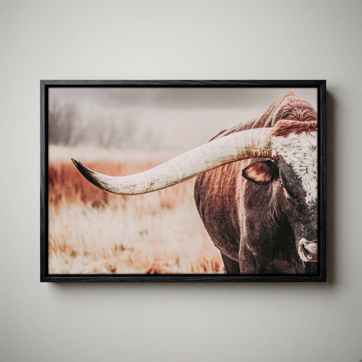 Western Canvas Wall Art Featuring Longhorn Bull