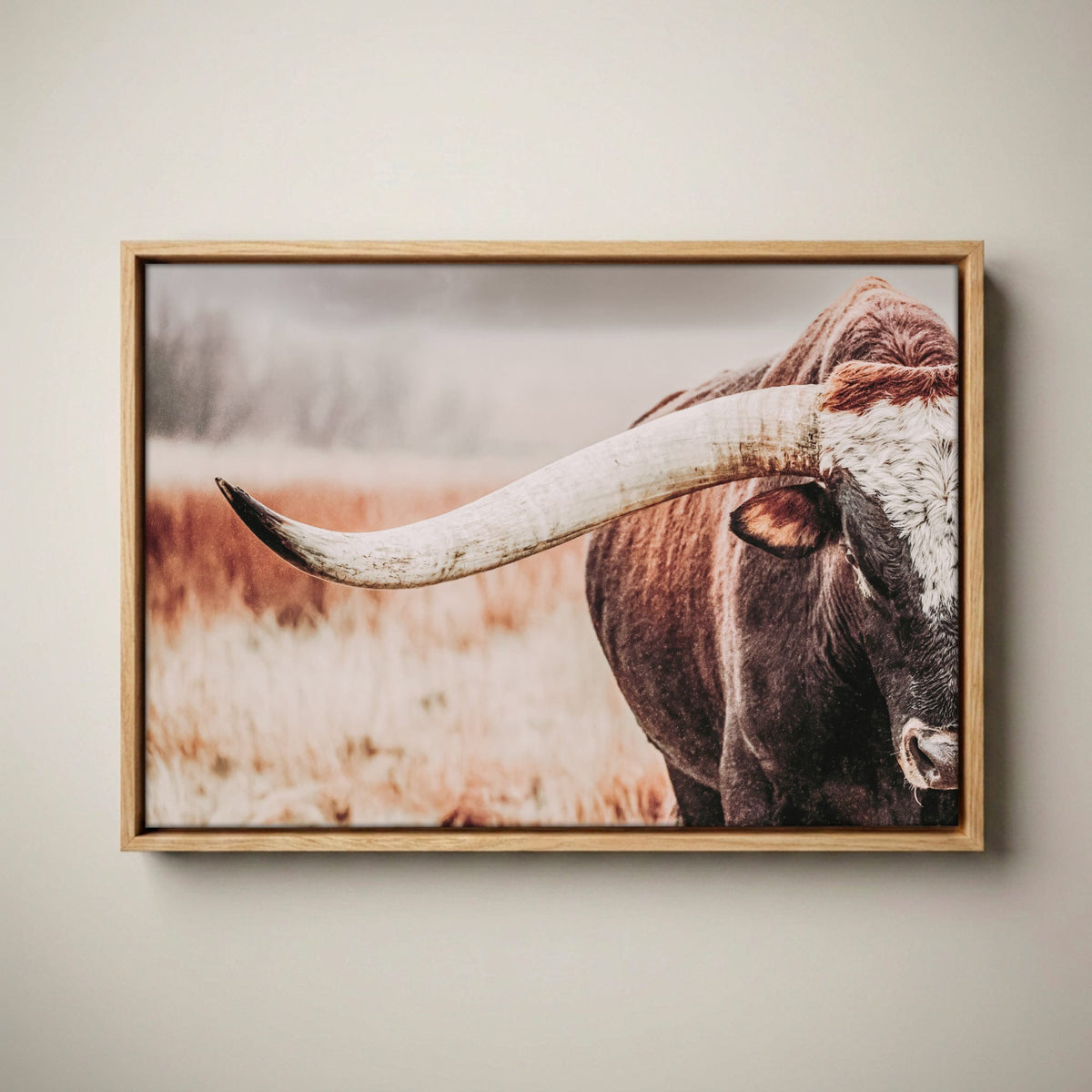Western Canvas Wall Art Featuring Longhorn Bull Canvas-Natural Oak Float Frame / 12 x 18 Inches