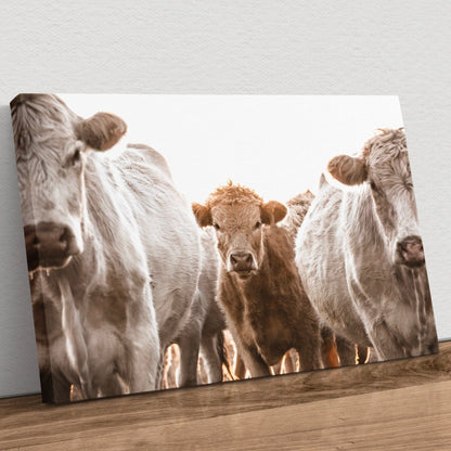 Western Cowboy Nursery Wall Art - Charolais Cows and Calf Canvas-Unframed / 12 x 18 Inches Wall Art Teri James Photography